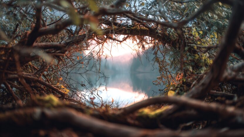Photography In Nature